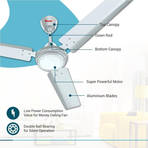Rico Ceiling Fan CF809 1400mm (White)-RIC097