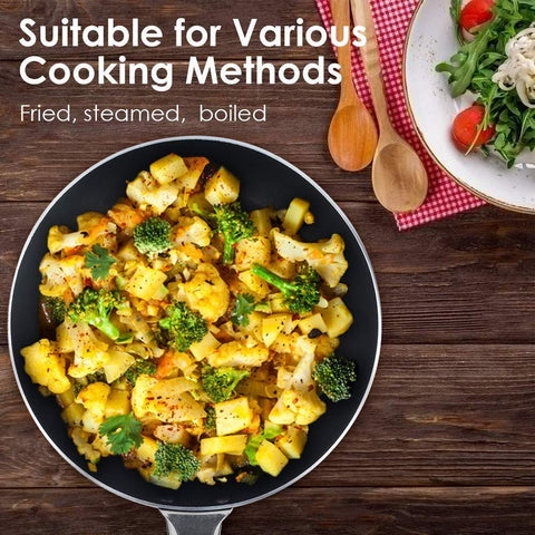 RICO - SR06 - 13" Fry Pan with Lid 2.6mm